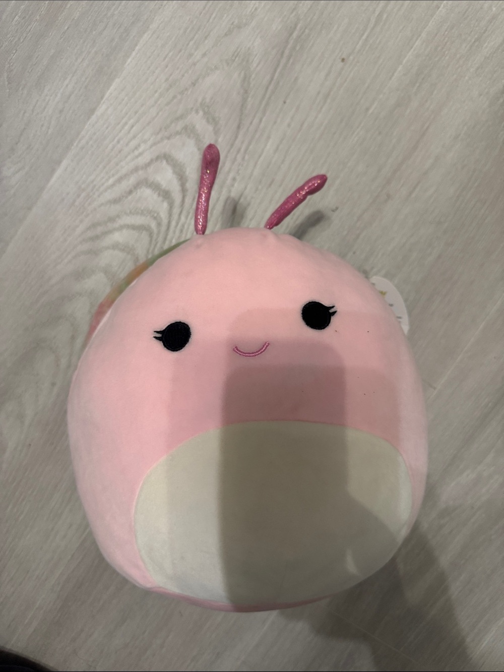 NWT Squishmallow Silvina